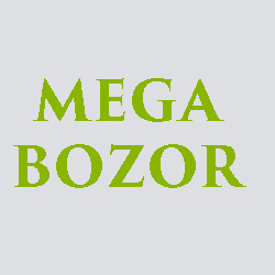 MEGA BOZOR