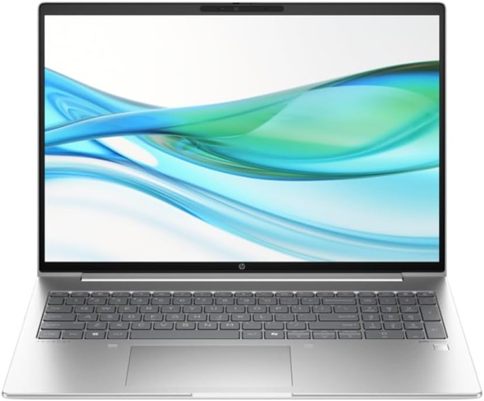 HP Inc. ProBook 460 G11 Core Ultra 5 125U 16 ГБ ОЗУ 512 ГБ SSD Win11Pro - 9C0C5EA#ABD Pike-Silver 1000011224 - фото 571921