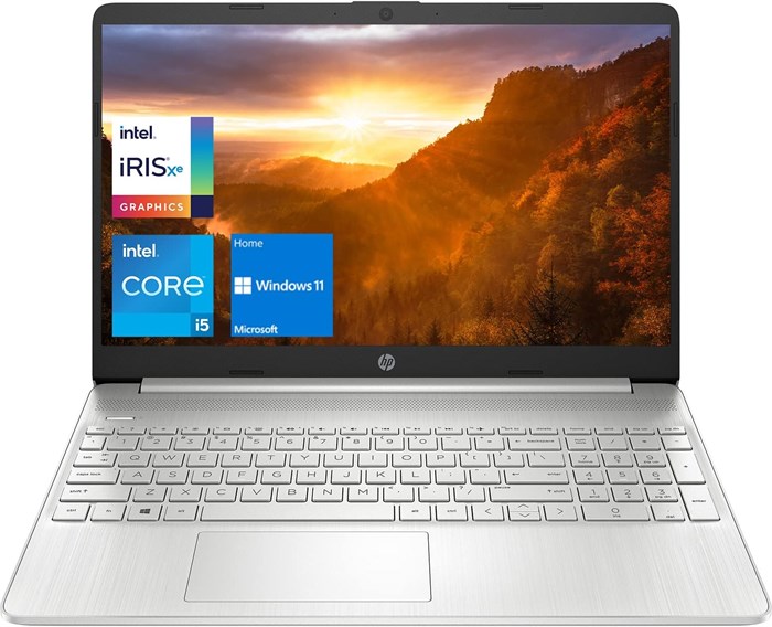 Ноутбук HP 15, дисплей Full HD 15,6 дюйма, процессор Intel Core i5-1135G7, ОЗУ DDR4 32 ГБ, твердотельный накопитель PCIe 1 ТБ, порт USB Type-C, веб-камера, Wi-Fi, Windows 11 Домашняя, серебристый 1000014845 - фото 572322