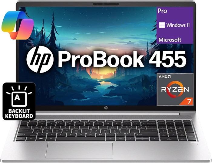 Оригинальный бизнес-ноутбук HP ProBook 455 G10 15,6", AMD Ryzen 7 7730U, дисплей FHD (Beats i7-1255U), 16 ГБ ОЗУ, 512 ГБ NVMe, HD-веб-камера, Wi-Fi 6E, RJ-45, HDMI, USB-C, клавиатура 1000003554 - фото 576367
