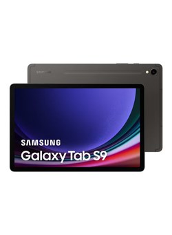 Galaxy Tab S9 Graphite 12 ГБ ОЗУ 256 ГБ 5G — версия для Ближнего Востока 1000016523