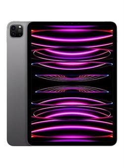 iPad Pro 2022 (4-го поколения) 11 дюймов, 2 ТБ, Wi-Fi, цвет «серый космос» — версия для Ближнего Востока 1000016677