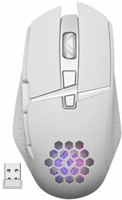 Мышь Defender Glory White 52513 484