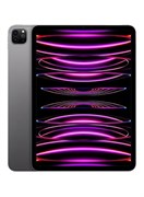 iPad Pro 2022 (4-го поколения) 11 дюймов, 2 ТБ, Wi-Fi, цвет «серый космос» — версия для Ближнего Востока 1000016677