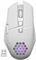 Мышь Defender Glory White 52513 484 - фото 565016
