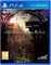 NAtURAL DOCtRINE [PS4] 1623 - фото 566160