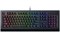 Клавиатура Razer Cynosa V2 RZ03-03400700-R3R1 3960 - фото 568826