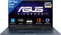 ASUS Vivobook 15 (X1502VA) 13-го поколения, Intel Core i5-13420H (видеокарта Intel UHD iGPU, 16 ГБ ОЗУ - твердотельный накопитель на 1 ТБ, клавиатура FHD 15,6 дюйма с подсветкой 60 Гц, Windows 11, M365 Basic/Office Home 2024, цвет Quiet Blue) 1000014968 - фото 573977